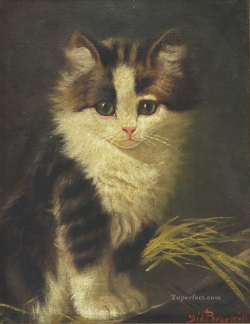 a cat baby Oil Paintings
